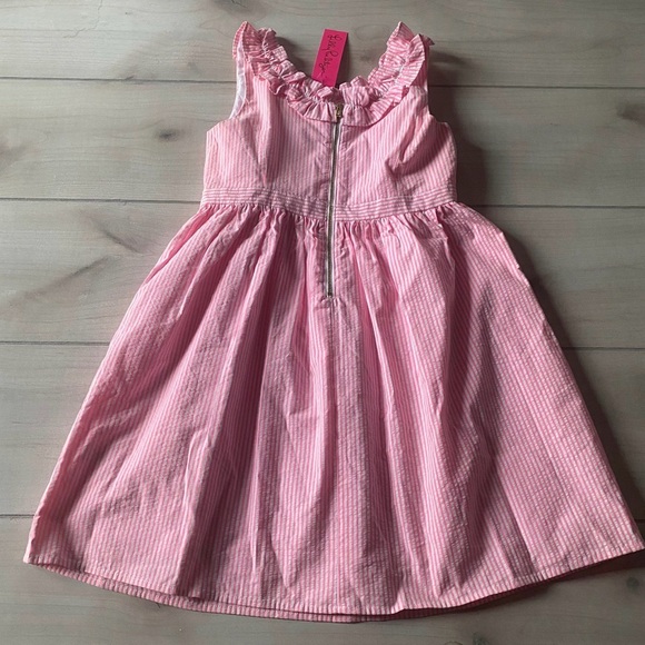 NWT Lilly Pulitzer Pink Striped Seersucker Kids Dress with Floral Detail - Picture 3 of 3